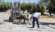 Didim'de modern dokunuş: Efeler Mahallesi'nin çehresi yenilendi