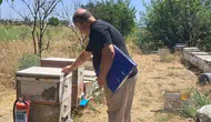 Köşk’te arıcıların yüzünü güldürecek çalışma: Destekler için sahaya indiler