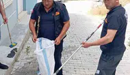 Sandıklı'da korku dolu anlar: Evin içine giren davetsiz misafir paniğe yol açtı