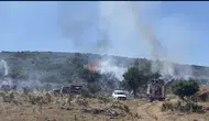Denizli’de arı kovanları söndürme ekiplerine geçit vermedi: Orman yangınında zor anlar