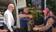 Babadağ'da toprak berekete kavuşuyor: Belediyeden üreticiye dev fidan desteği
