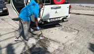 Germencik'te yaz aylarında haşere mesaisi: Ekipler sahada