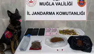 Muğla'da suç örgütlerine geçit yok: Bir ayda 24 operasyonla darbe vuruldu