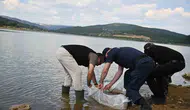 Uşak’ın göletleri 433 bin yeni misafirini ağırlıyor: Doğal yaşam için dev seferberlik