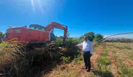 Sultanhisar’da hasat yolu mesaisi: Üreticinin ulaşım çilesi bitiyor
