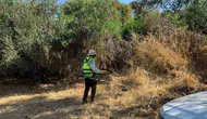 Bodrum'da yaz mesaisi: Yangın riskine karşı dev temizlik operasyonu