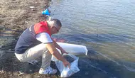 Denizli’nin su kaynaklarına 80 bin yeni misafir: Balık popülasyonu güçlendiriliyor