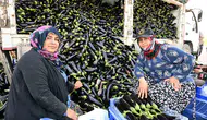 Selin vurduğu tarlada yüzleri güldüren dönüşüm: Üreticiye can suyu oldu