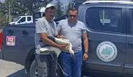 Doğanın sessiz çığlığına duyarsız kalmadılar: Yaralı leylek emin ellerde