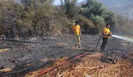 Bafa’da tarım arazisinde korkutan yangın: Ekipler zamanla yarıştı
