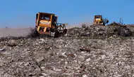 Küllerinden doğan ormanlar: Aliağa ve Foça’da yeşil seferberlik