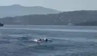 Bodrum'un mavi sularında beklenmedik misafirler: Tatilcilerin yunus keyfi