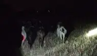 Çivril’de kayıp sürüsünü jandarma buldu: Çobanın yüzü güldü