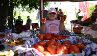 Yamanlar’ın Bereketli Topraklarında Domates İçin Saha Buluşması