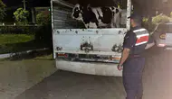 350 bin liralık vurgun girişimi jandarmaya takıldı: Hayvanlar sahibine kavuştu