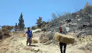 Seydikemer’de küllerin arasından umut yeşerdi: Üreticiye büyük destek