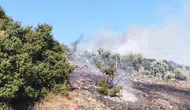 Çine'de alevlerle zorlu mücadele: Hallaçlar'da yangın alarmı
