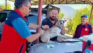 Afyonkarahisar’da sevimli dostlara koruma kalkanı: Kuduz riski için harekete geçildi