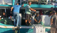 Denizlerin geleceği için Didim’de sıkı takip: Hamside kota nöbeti başladı