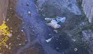 Urla'da dere isyanı: Emekli öğretmenden belediyeye çarpıcı teklif