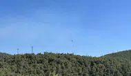Uşak'ta ormanlık alanda korkutan yangın: Ekipler havadan ve karadan müdahale etti