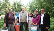 Çivril elma bahçelerinde bereketli hasat: Rekolte beklentisi ikiye katlandı