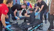Menteşe’de okul yolu kana bulandı: Küçük öğrenci hastanelik oldu