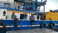 Didim denizlerinde hamsi mesaisi: Ekipler denetimlerini sıkılaştırdı