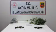 Söke'de jandarma baskını: 78 yaşındaki şüphelinin evinden uyuşturucu çıktı