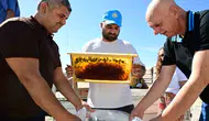 Arıcılıkta devrim niteliğinde adım: Petekler eksi 30 derecede güveye karşı sigortalandı