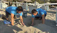 Bodrum’un minik misafirleri yuvadan çıktı: 62 kaplumbağanın zorlu yolculuğu başarıyla sonuçlandı