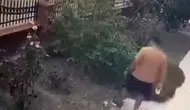 Bayraklı'da vicdansızlık kamerada: Yavrularını korumak isteyen kediye tekme attı