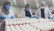 Mutfakların temel gıdası için müjdeli haber: Yumurta fiyatlarında zam beklenmiyor