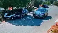Bodrum'da vicdansızlık kamerada: Yolda yatan köpekleri ezip geçti