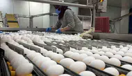 Afyonkarahisar’da yumurta üreticisinin gözü kulağı Tahıl Koridoru’ndan gelecek haberlerde