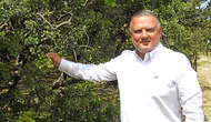 Çeşme’nin beyaz altını dünya literatürüne girdi: Bilimsel onay tescillendi