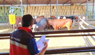 Afyonkarahisar'da hayvancılık desteği yerinde denetlendi
