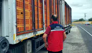 Uşak yollarında sıkı denetim: Hayvan sağlığı için geçit yok