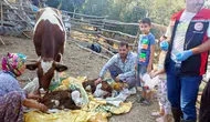 Muğla'da hayvancılıkta yeni dönem: İlk 24 saat için devreye alınan proje ile hedef yüzde 1'e inmek