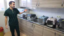 Buca Belediyesi'nden İddialara Yanıt Hayvanseverlerden Destek