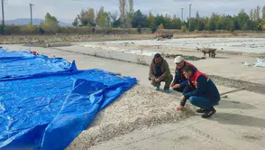 Çay ovasında tarımsal mesai: Üreticinin tarlasındaki sorunlar mercek altına alındı