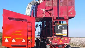 Söke ovasında beyaz altın mesaisi: Tarım ekiplerinden hasat makinelerine yakın takip