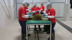 Efeler'in mutfağından dünyaya açılan lezzet kapısı: Ürün gamı 63 çeşide çıktı