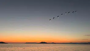 Ölüdeniz’in karanlığı ışıklarla aydınlandı: Gökyüzünde görsel şölen