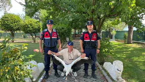 Manisa'da duyarlı vatandaşın şefkat eli: Yaralı leylek hayata tutundu