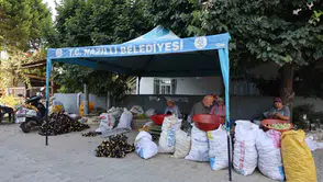 Nazilli’de emekçi kadınların imdadına Başkan Tetik yetişti