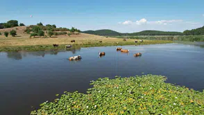 Kuraklığa direnen Süleymanlı Yayla Gölü yeniden doğuşunu kutluyor