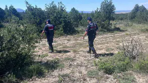 Kütahya ormanları jandarma koruması altında: Sıcak havalar için alarm verildi