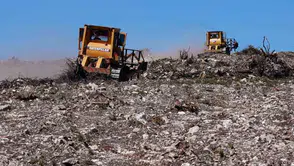 Küllerinden doğan ormanlar: Aliağa ve Foça’da yeşil seferberlik