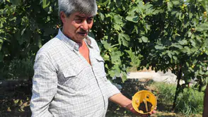 Muğla’da çiftçinin hasadı güvence altında: Kimyasal ilaca veda dönemi